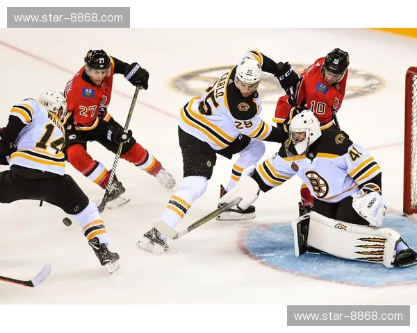 赛程NHL：探索冰球的激情与魅力